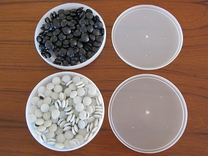 Plastic Bowls and Stones (Separate)